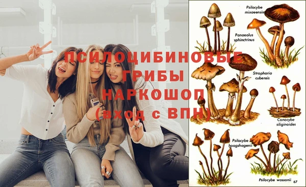 кокс Баксан