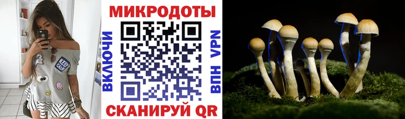 купить наркотики сайты  Куса  Галлюциногенные грибы мицелий 